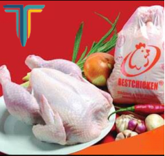 Ayam Frozen Uk 06-07 [1 Ball  isi 40 ekor]